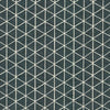 Kasmir Esteemed Denim Fabric