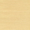 Brewster Home Fashions Kenneth James Shangri La 63-65412 Beige Wallpaper