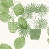 A-Street Prints Seychelles Botanical Green Wallpaper