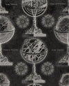 Mindthegap Armillary Anthracite Discovery Wallpaper