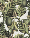 Mindthegap Exotic Fruit I Tropical Wallpaper