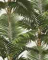 Mindthegap Jardin Tropical Tropical Wallpaper