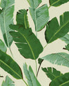 Mindthegap Banana Leaves Tropical Wallpaper