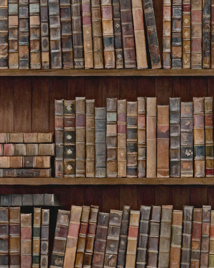 MindTheGap BOOK SHELVES Full Pallette Wallpaper