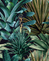 Mindthegap Lush Succulents The Rediscovered Paradise Wallpaper