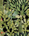 Mindthegap Opuntia Anthracite The Rediscovered Paradise Wallpaper