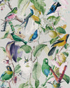 Mindthegap Tropical Birds The Rediscovered Paradise Wallpaper