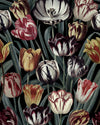 Mindthegap Tulipa Dark The Florist Wallpaper