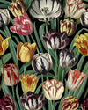 Mindthegap Tulipa The Florist Wallpaper