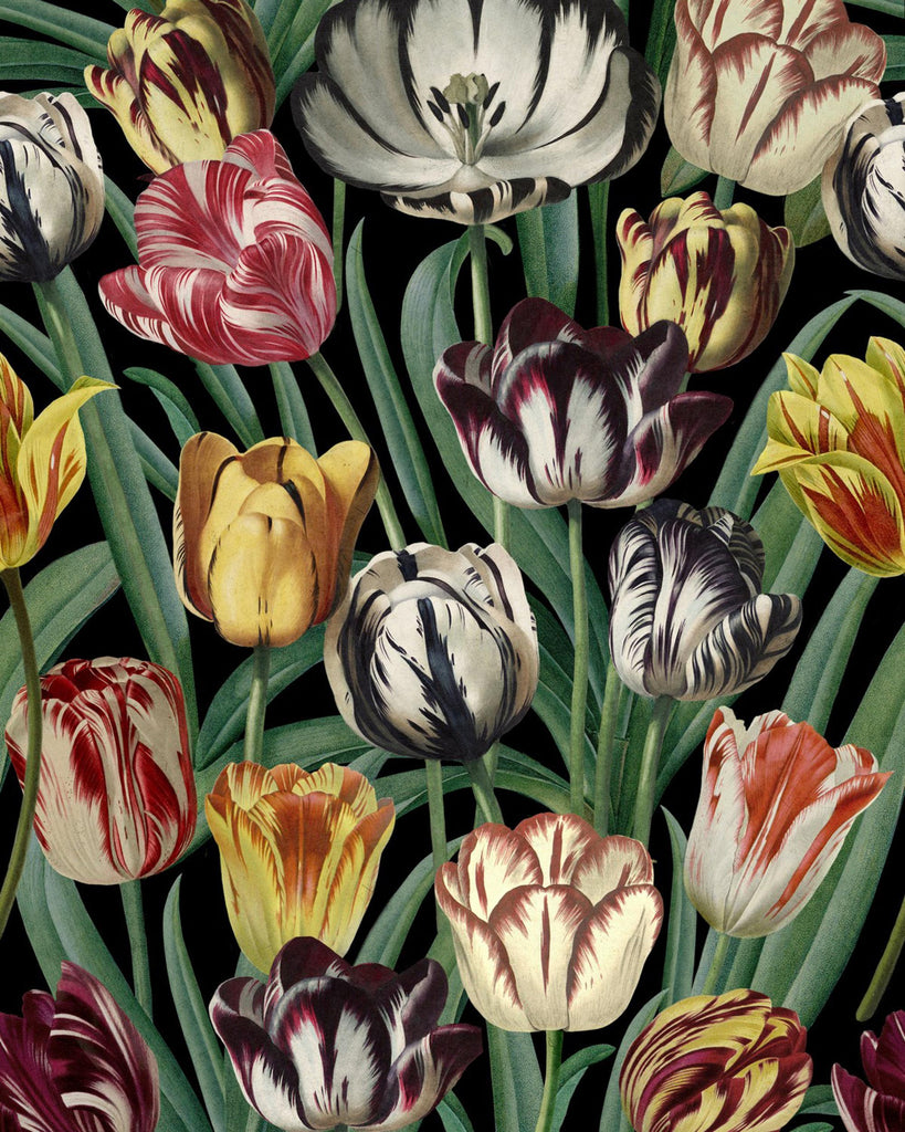 MindTheGap TULIPA Green, Yellow, Red, Black Wallpaper