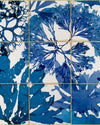 Mindthegap Algae In Blue Mediterraneo Wallpaper