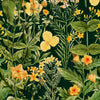 Mindthegap Mimulus Anthracite Florilegium Wallpaper