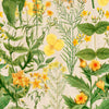 Mindthegap Mimulus Florilegium Wallpaper