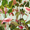 Mindthegap Beverly Hills Mint Palm Springs Wallpaper