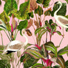 Mindthegap Beverly Hills Pink Palm Springs Wallpaper