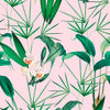 Mindthegap Palm Springs Palm Springs Wallpaper