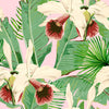 Mindthegap Treasure Island Pink Palm Springs Wallpaper