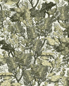 Mindthegap Tree Foliage The Royal Garden Wallpaper