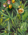 Mindthegap Luscious Flora Tropical Wanderlust Wallpaper