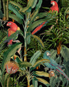 Mindthegap Parrots Of Brasil Anthracite Tropical Wanderlust Wallpaper