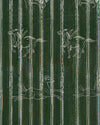 Mindthegap A Fable Evergreen Transylvanian Roots Wallpaper