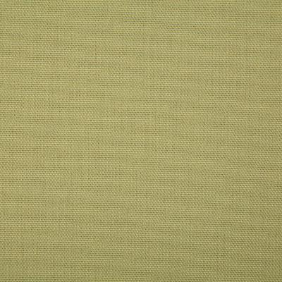 Pindler CALLAHAN OLIVE Fabric