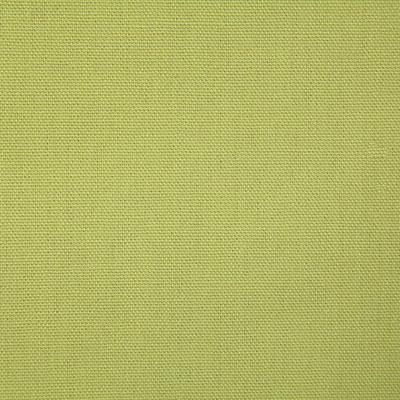 Pindler CALLAHAN PARROT Fabric