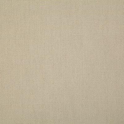 Pindler CALLAHAN PEBBLE Fabric