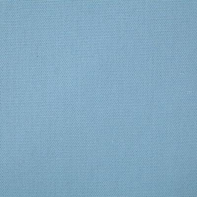 Pindler CALLAHAN POWDER Fabric