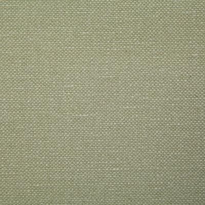 Pindler BRONSON LICHEN Fabric