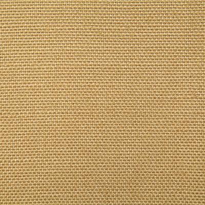 Pindler REESE GOLDEN Fabric