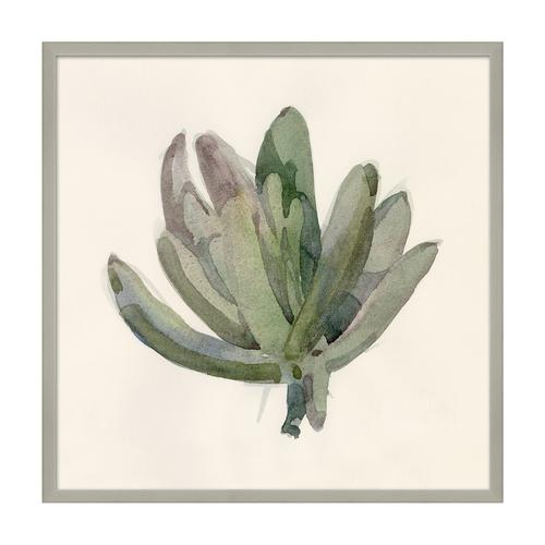 Kravet Decor Succulent Study By Barbara Barry Greenmulti Prints