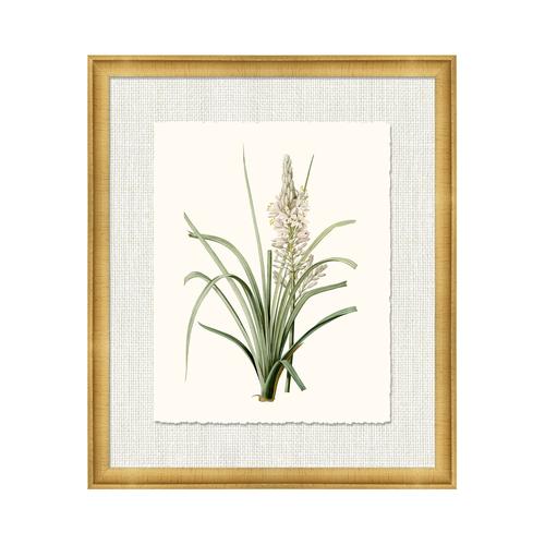 Kravet Decor Petite Botanica Xii Multi12 Prints