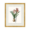 Kravet Decor Petite Botanica Xiv Multi14 Print