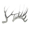 Couture Clear Antlers [Set Of 2] Clear Resin Decorative Accent
