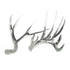 Couture Clear Resin Clear Antlers [Set Of 2]