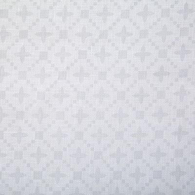 Pindler ANDREA SILVER Fabric