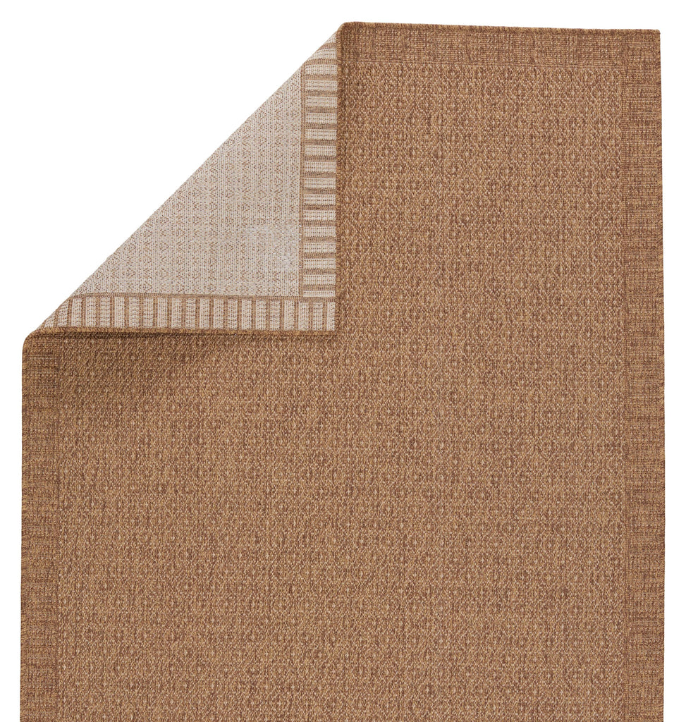 Vibe By Jaipur Living Maeva Indoor/ Outdoor Bordered Light Brown Area Rug (4'X6')