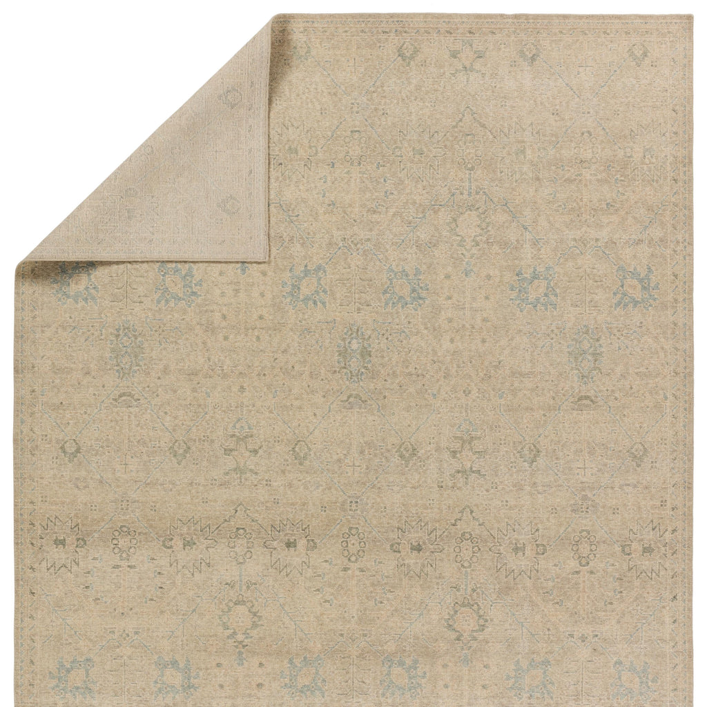 Jaipur Living Joan Hand-Knotted Trellis Tan/ Blue Area Rug (9'X12')