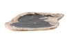 Phillips Collection Petrified Wood Plate Assorted Color And Shape Sm Tabletop