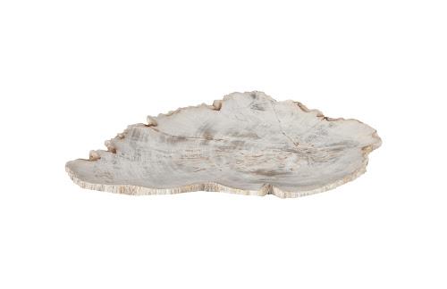 Phillips Petrified Wood Plate Assorted Color and Shape SM