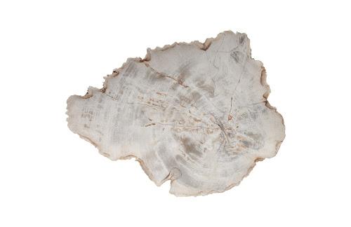 Phillips Petrified Wood Plate Assorted Color and Shape SM