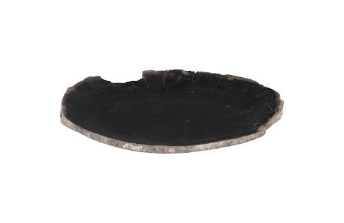 Phillips Petrified Wood Plate Assorted Color and Shape SM