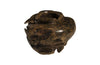 Phillips Collection Teak Black Brown Planter