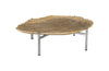 Phillips Collection Petrified Wood Tray Stainless Steel Base Assorted Styles And Sizes Tabletop