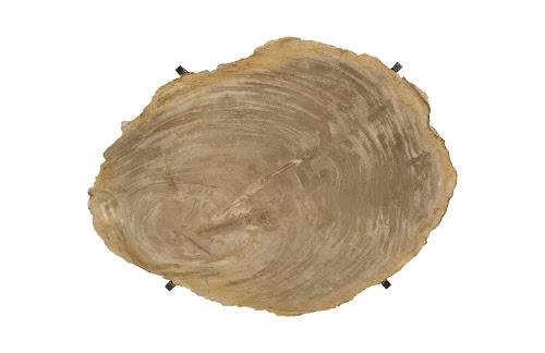 Phillips Petrified Wood Tray Stainless Steel Base Assorted Styles and Sizes