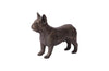 Phillips Collection French Bulldog Bronze Accent