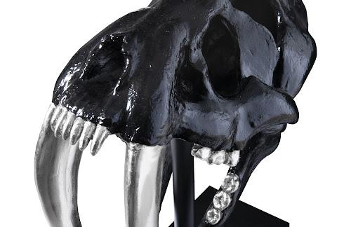 Phillips Saber Tooth Tiger Skull Black