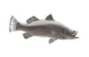 Phillips Collection Barramundi Fish Wall Sculpture Resin Silver Leaf Accent