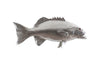 Phillips Collection Coral Trout Fish Wall Sculpture Resin Silver Leaf Accent